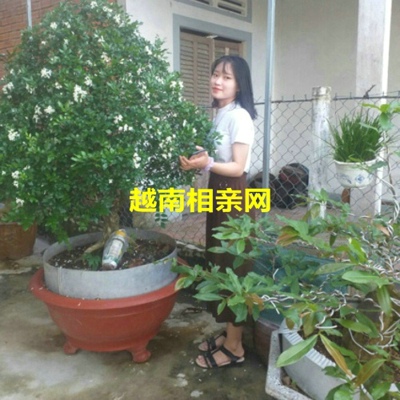 ͼƬ鿴